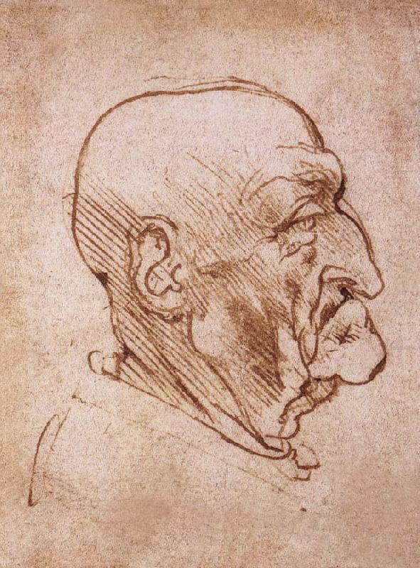 LEONARDO da Vinci Profile of an old man china oil painting image